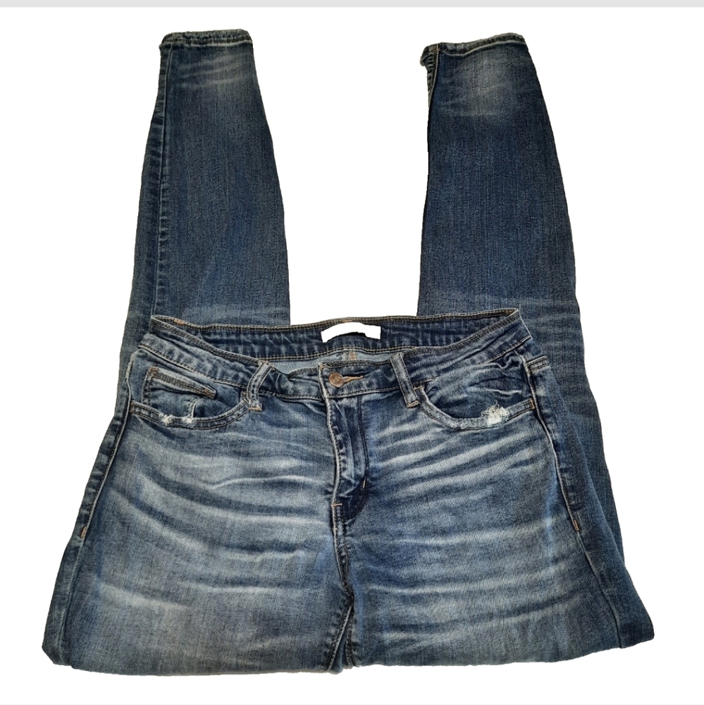Daytrip Lynx Skinny Distressed Jeans